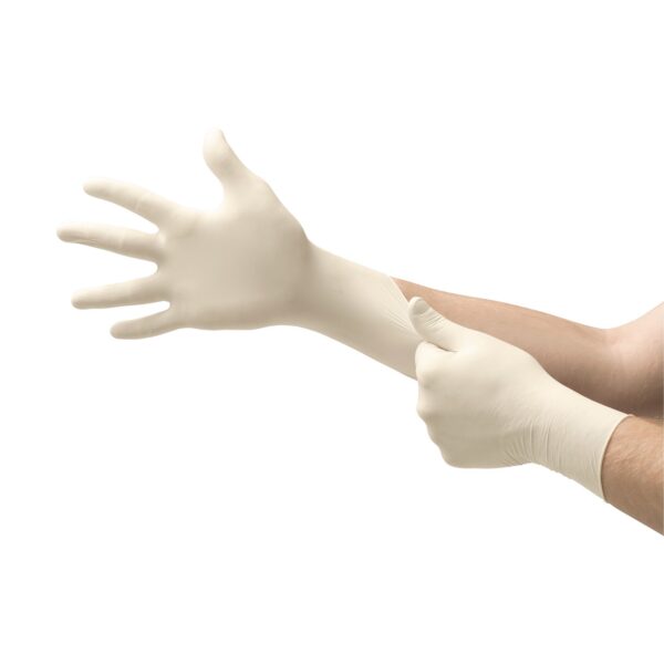 Diamond Grip Plus Large Non-Sterile Latex Exam Gloves | DGP-350-L by BrandName - Image 2