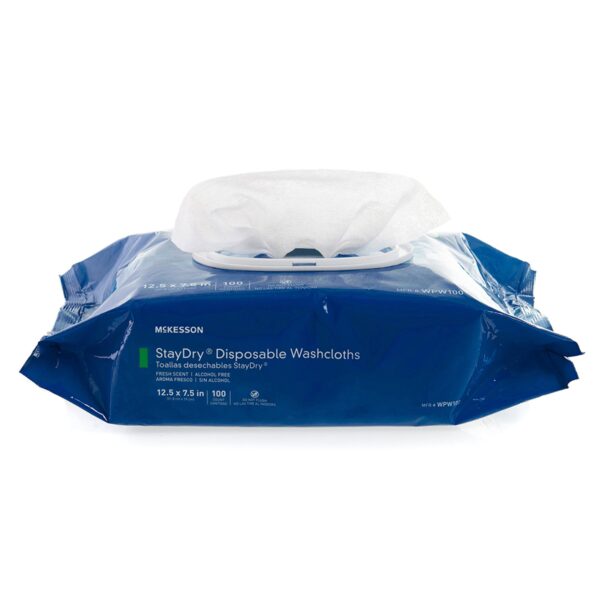 StayDry Personal Cleansing Wipes by WPW100 * 100 Count Soft Pack with Aloe & Vitamin E - Image 2