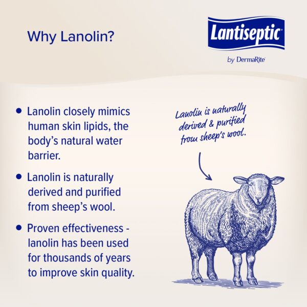 Lantiseptic Dry Skin Therapy Skin Protectant 4 oz. Tube with Lanolin Scent - Moisturizing and Rash Relief - Image 5