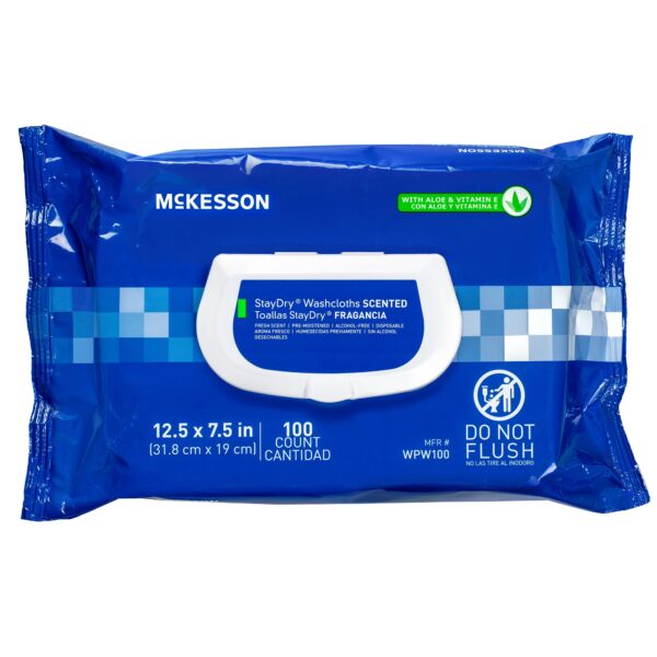 StayDry Personal Cleansing Wipes by WPW100 * 100 Count Soft Pack with Aloe & Vitamin E