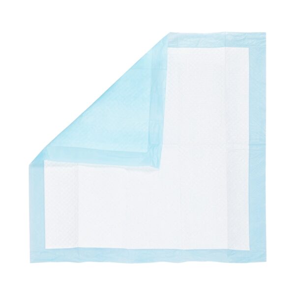 Cypress Disposable Underpad for Pets * Heavy Absorbency, 22 x 22 Inches - Image 3