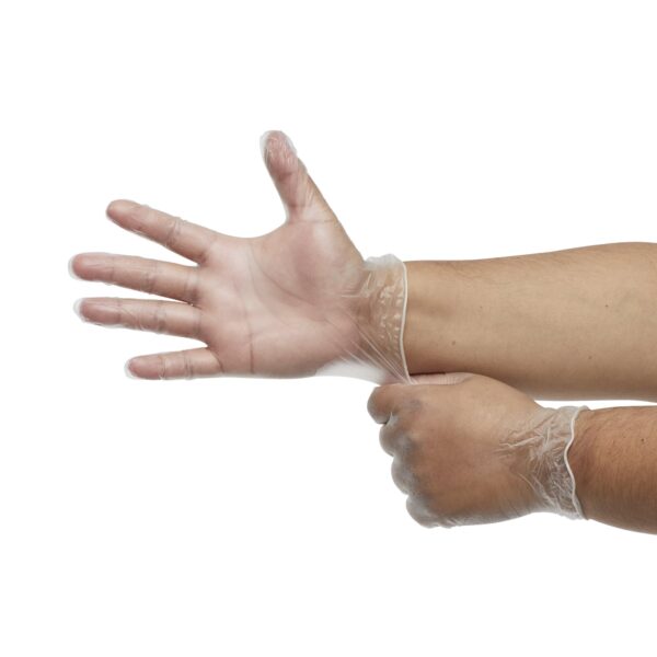 Derma Free Large Vinyl Exam Gloves by Brand - Part DF-850-L, Smooth Clear, 9-inch Cuffless Design - Image 4
