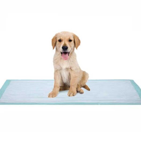 DUKAL Disposable Underpad 17 x 24 Inch with Light Absorbency - Soft Spunbonded Facing for Comfort and Protection - Image 5