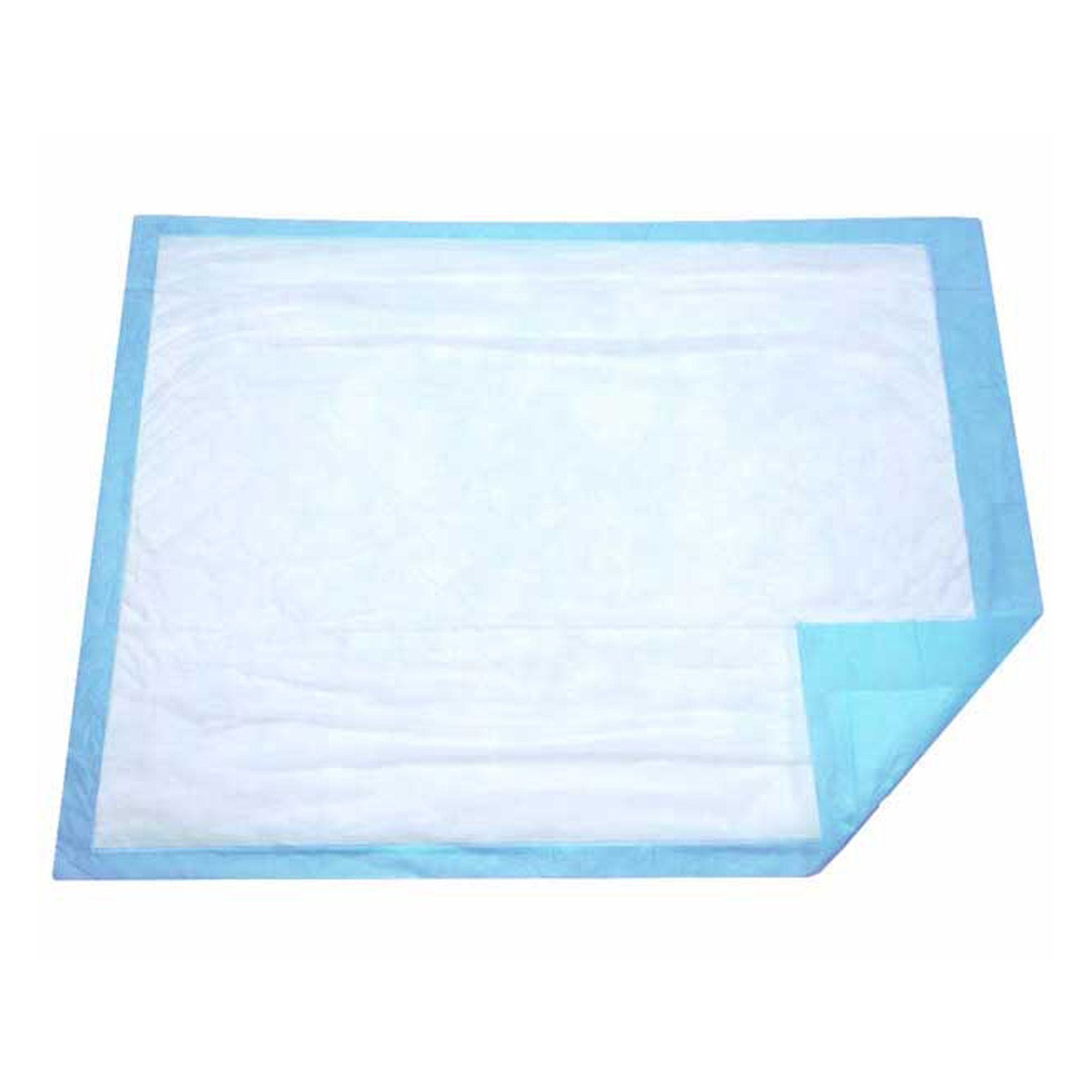 DUKAL Disposable Underpad 17 x 24 Inch with Light Absorbency - Soft Spunbonded Facing for Comfort and Protection