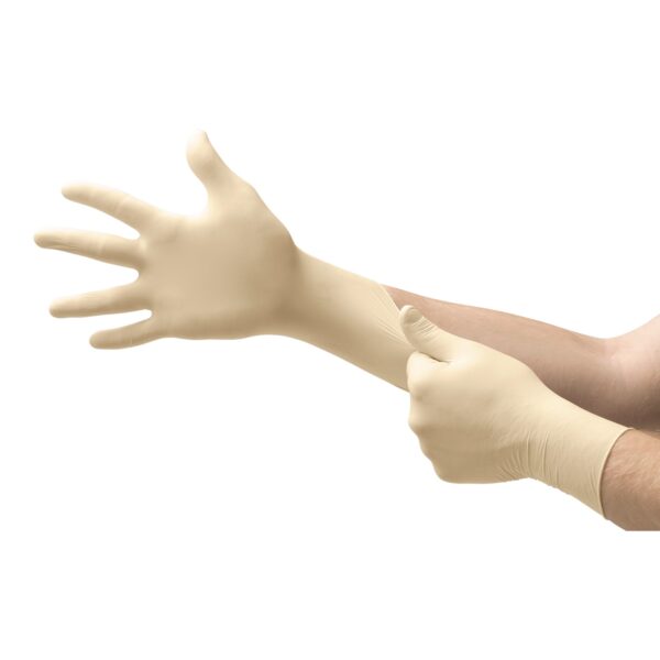 Exam Glove Evolution One Small Non-Sterile Latex Gloves * White, Standard Cuff, Fully Textured - Image 2