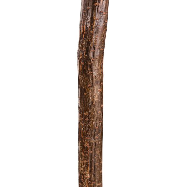 Brazos Knob Root Wood Walking Stick - 37 Inch Natural Hardwood with Solid Construction - Image 4