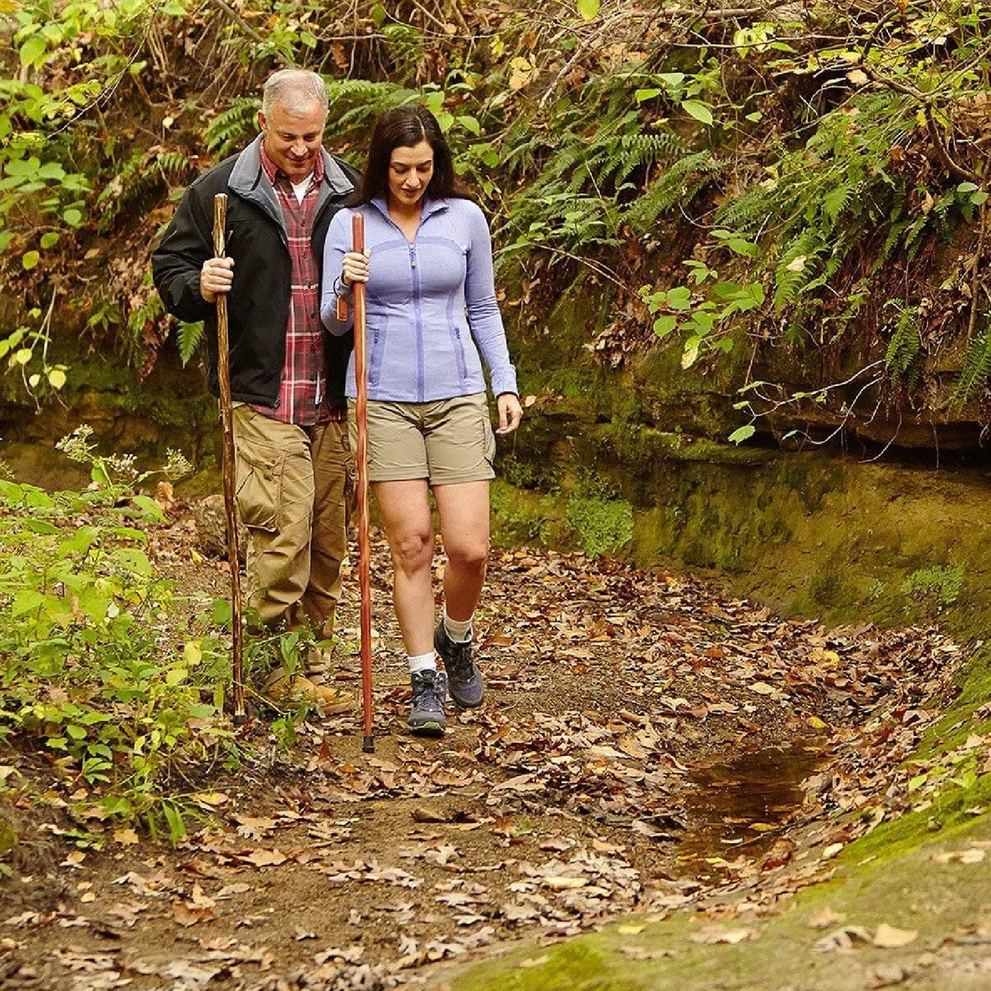 5f00c0c66500bef6cc32079633b3f977cf1f46e2