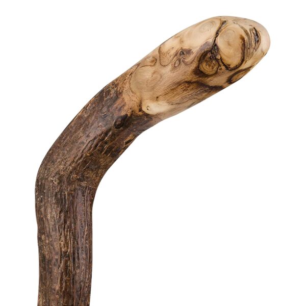 Brazos Knob Root Wood Walking Stick - 37 Inch Natural Hardwood with Solid Construction - Image 3