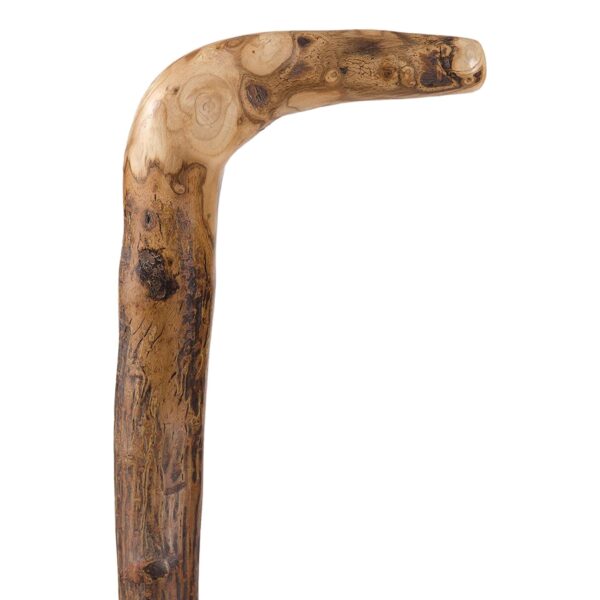 Brazos Root Wood Walking Stick by EcoPath, 40 Inch Height, Natural Hardwood - Image 3