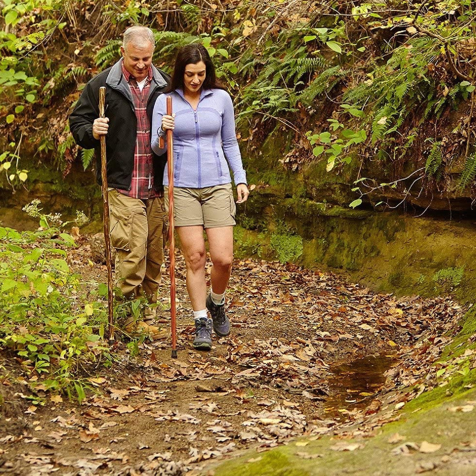 c87597bbbf244f50950df383f533d4fad20e44a1