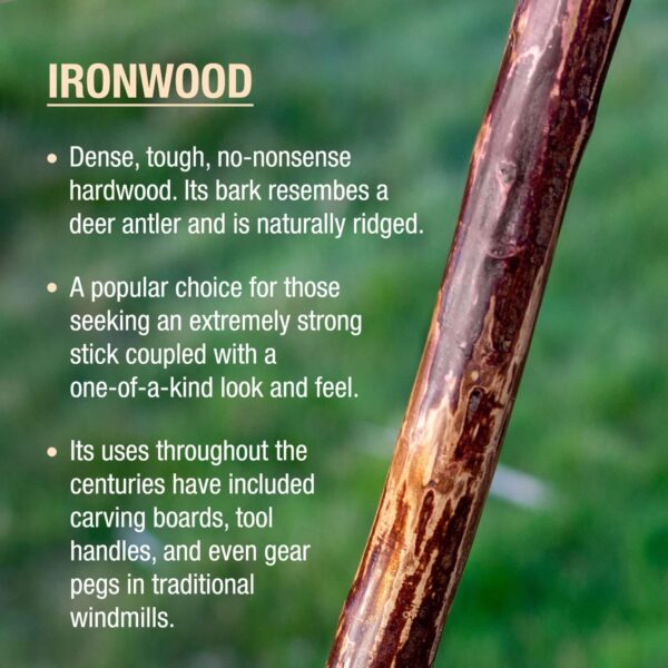Brazos* Ironwood Rustic Walking Stick, 48-Inch Height * Durable American Hornbeam Cane with Traditional Handle and Secure Grip - Image 7