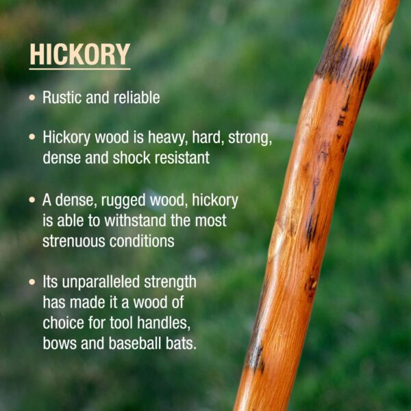Brazos* Exotic Leather Safari Hickory Rustic Walking Stick, 55-Inch - Image 3