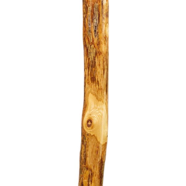 Brazos* Assorted Hardwood Rustic Walking Stick - 41 Inch American Hardwood Cane with Leather Loop and Rubber Ferrule - Image 3