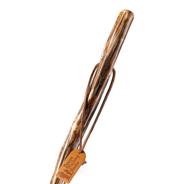 Brazos* Ironwood Rustic Walking Stick, 48-Inch Height * Durable American Hornbeam Cane with Traditional Handle and Secure Grip - Image 2