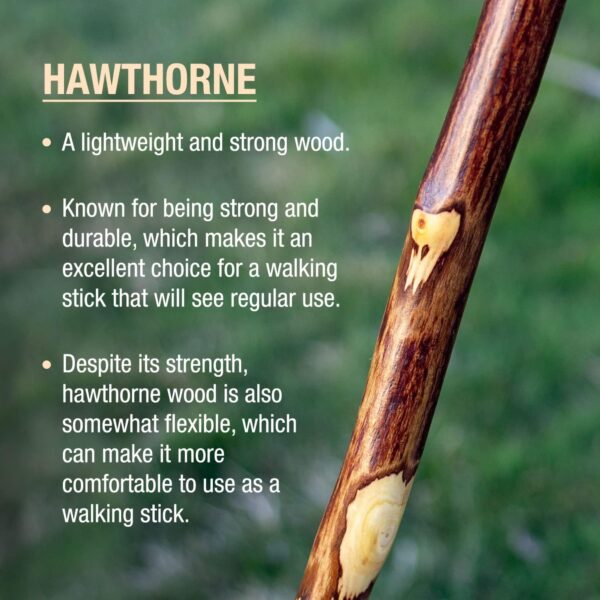 Brazos* Hawthorn Rustic Walking Stick, 58-Inch Height - Image 6