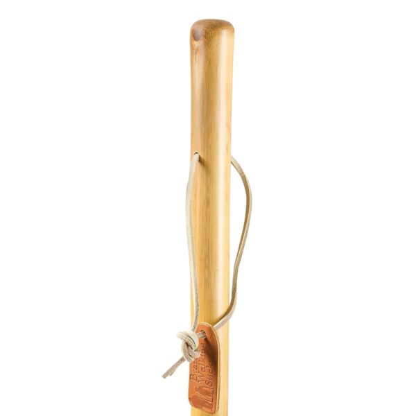 Brazos* Iron Bamboo Rustic Walking Stick, 58 Inch Height - Image 3