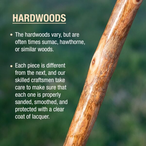 Brazos* Assorted Hardwood Rustic Walking Stick - 41 Inch American Hardwood Cane with Leather Loop and Rubber Ferrule - Image 5