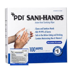 Sani-Hands® Hand Sanitizing Wipes with Ethyl Alcohol, Unscented, 5 x 8 inches, 100 Count