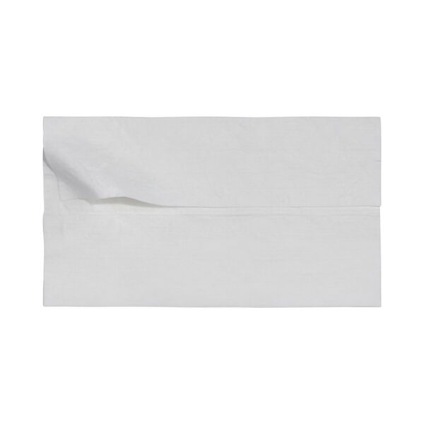McKesson Flushable Wet Wipes Unscented - 48 Count Pack for Personal Hygiene - Image 10