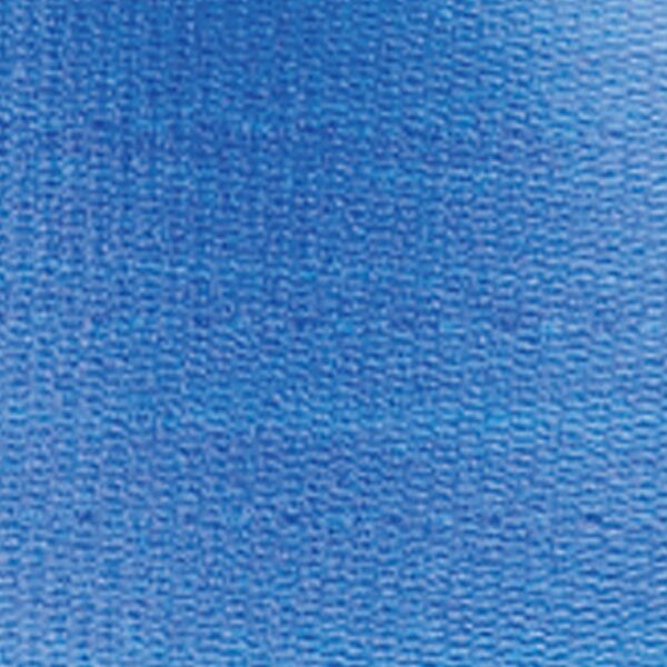 SkiL-Care™ PathoShield Blue Gait Belt, 60 Inch – Infection-Resistant Transfer Belt for Medical Use - Image 4