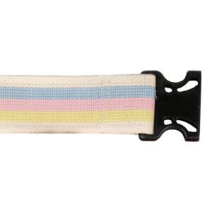 McKesson Pastel Stripe Gait Belt, 60 Inch with Delrin Buckle