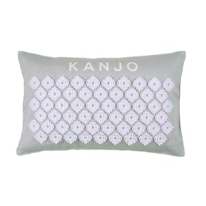 Kanjo Aroma Mint Acupressure Pillow for Relaxation and Pain Relief