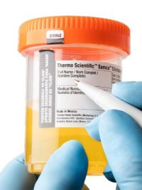 Samco™ Clicktainer™ 90 mL Specimen Container with Orange Cap - Leak-Tight Polypropylene Transport Vials